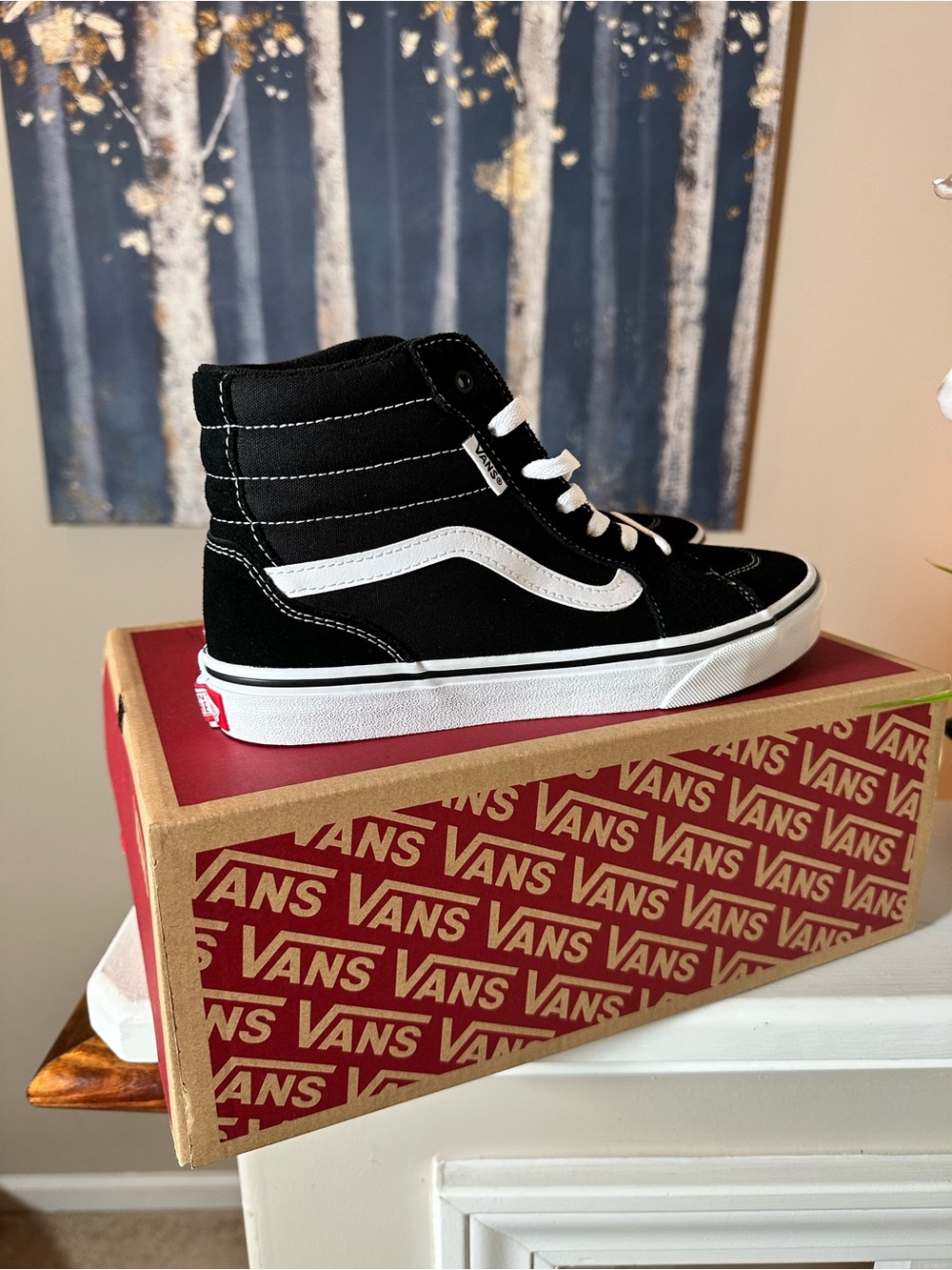 Vans Kids Black and White Sk8-Hi Sneakers